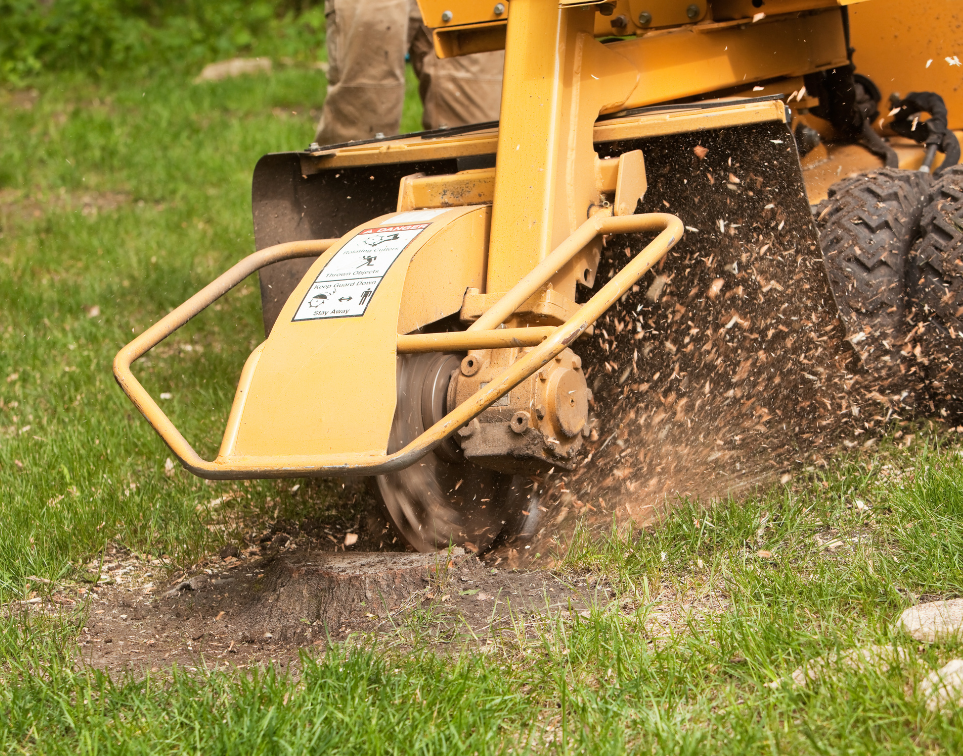 a tree stump getting removed by a machine
