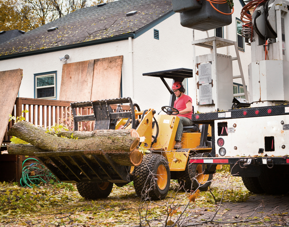 a machine caring a cut tree